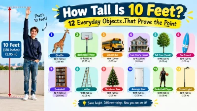 How tall is 10 feet infographic showing 12 everyday objects with clear height comparisons and measurements.